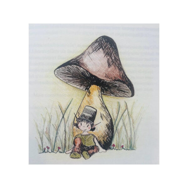 Livre "L'épouvantail qui en avait marre de faire peur aux oiseaux" – Image 2